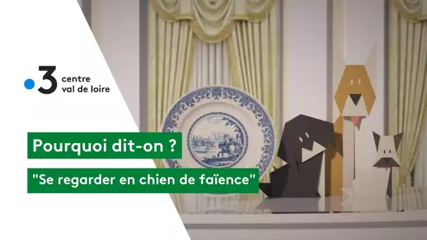 Pourquoi dit-on : se regarder en chien de faïence !
