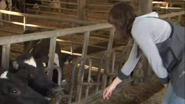 Des étudiants logés à la ferme