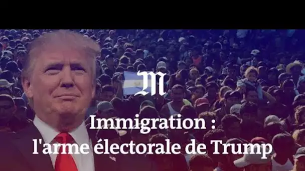 Immigration : l'arme de Trump aux midterms