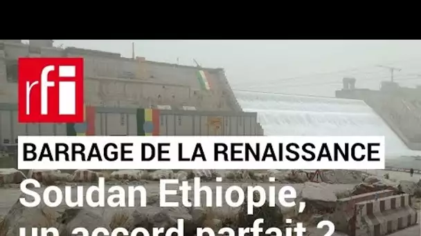 Barrage de la Renaissance : le Soudan et l'Éthiopie ont trouvé des intérêts en commun • RFI