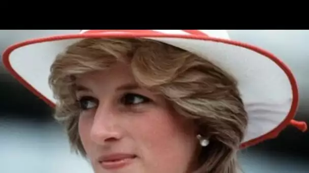 Lady Di : l'enquête sur son interview de 1995 est une bonne chose, selon le prince...