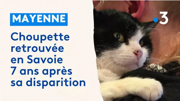 Mayenne : retrouvée en Savoie, le retour de Choupette après 7 ans d'absence