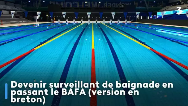 Devenir surveillant de baignade en passant le BAFA