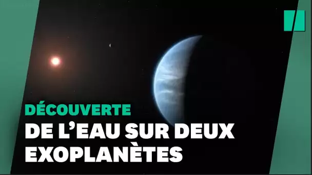 Ces deux exoplanètes pourraient être principalement constituées d’eau