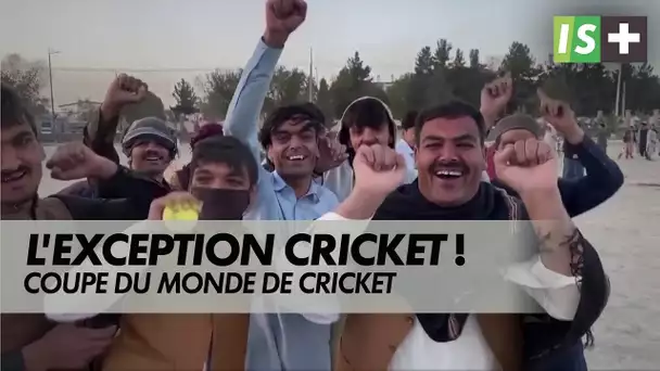 Le cricket l'exception chez les Talibans