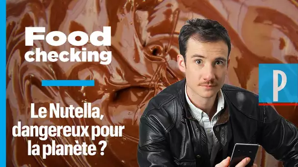 Le Nutella est-il (vraiment) mauvais pour la planète ?