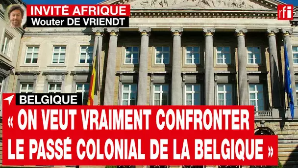 W. de Vriendt, député belge : « On veut vraiment confronter le passé colonial de la Belgique » • RFI