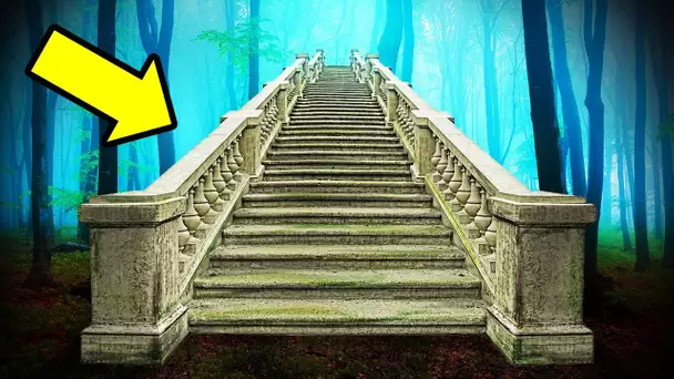 Pourquoi des escaliers abandonnés continuent d’apparaître au hasard dans les bois