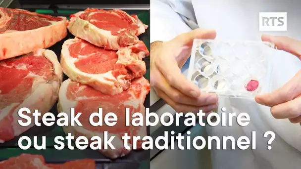 Votre steak : du laboratoire ou traditionnel ?