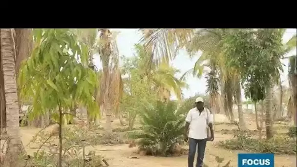 Au Sénégal, Goran N'diaye, pionnier de l’agroécologie, fait pousser un potager dans le désert