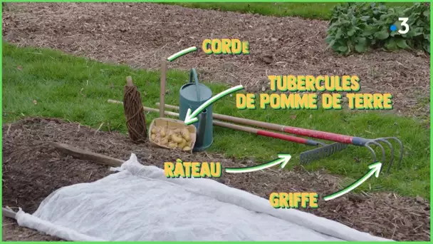 Les #TutosJardin de Jean-Pierre : Potager- Comment planter des tubercules  de pomme de terre ? (2/4)