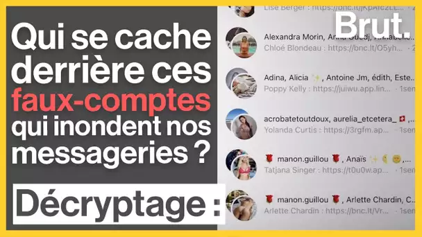 Qui se cache derrière ces faux-comptes qui inondent nos messageries ?