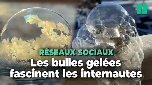 Les réseaux sociaux en adoration devant les "frozen bubbles"