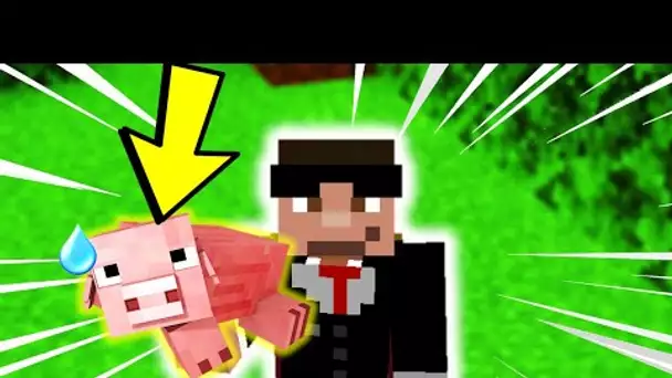 TU PEUX MAINTENANT LANCER DES MOBS DANS MINECRAFT ! (tuto)