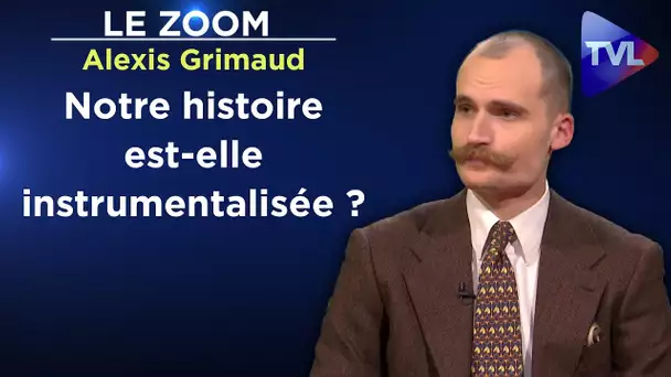 Ecole : programmes d'histoire, l'usine à gaz - Le zoom - Alexis Grimaud - TVL