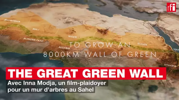 The Great Green Wall avec Inna Modja : un film-plaidoyer pour un mur d'arbres au Sahel