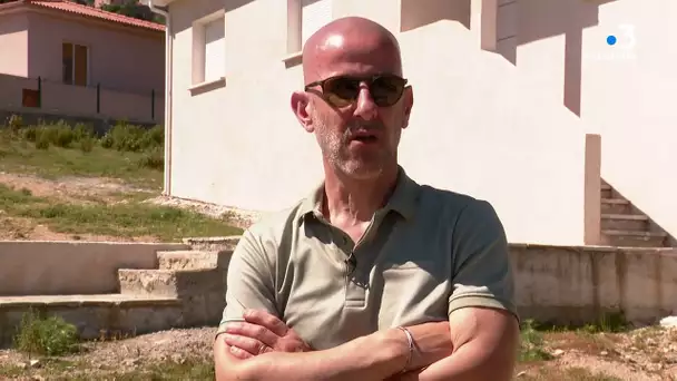 Invasion de chenilles en centre Corse
