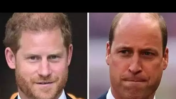 Le prince Harry était «impatient» d'assumer le futur rôle de William en tant que roi: «Je le ferai p