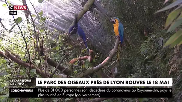Tourisme : le parc des oiseaux de Villars-les-Dombes va rouvrir ses portes