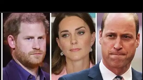 Le prince William devrait envoyer un « rameau d'olivier » à son frère en conflit pour marquer l'anni