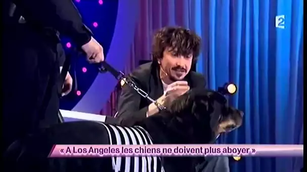 Arnaud Tsamere [43] A Los Angeles les chiens ne doivent plus aboyer - ONDAR