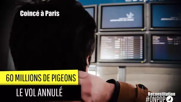 60 millions de Pigeons : le vol annulé