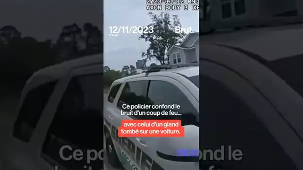 Ce policier confond le bruit d'un coup de feu... avec celui d'un gland tombé sur une voiture