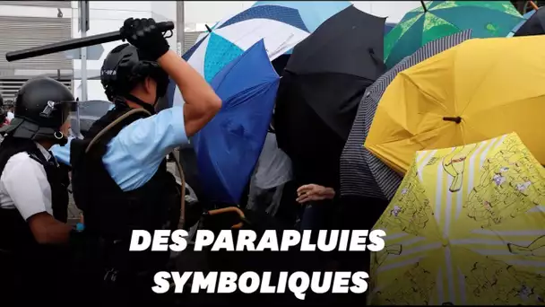 À Hong Kong, les parapluies comme protection face aux forces de l'ordre