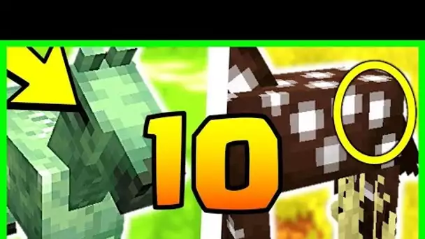 10 SECRETS INCROYABLES SUR LE CHEVAL MINECRAFT 1.17