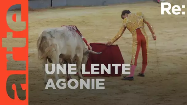 Tauromachie en Espagne, une lente agonie | ARTE Regards