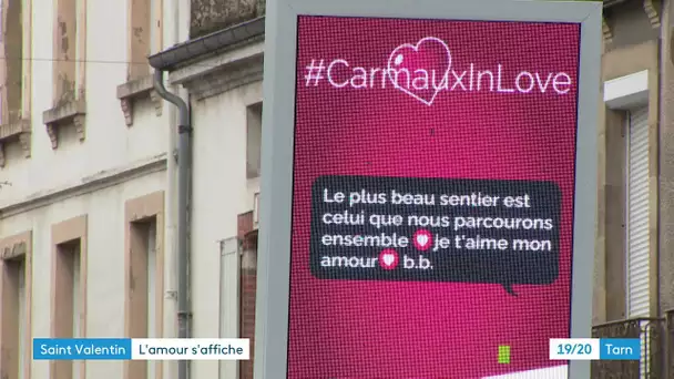 Saint-Valentin : Carmaux in love