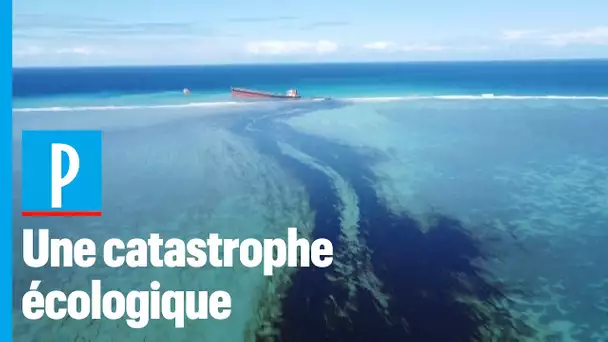 Marée noire sur l’Île Maurice : « On fabrique des bouées avec des cheveux et des plumes de pin