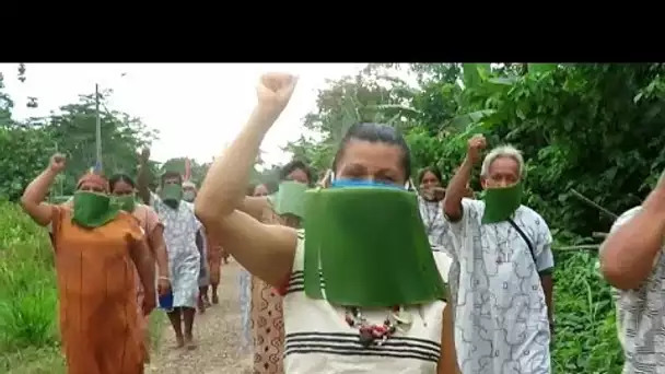 "Nous avons besoin d'aide" ! Le cri du cœur des indigènes d'Amazonie face à la crise du co…