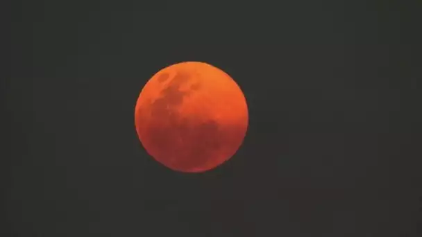 De Londres à New York, les plus belles images de la Super Lune observée la nuit dernière