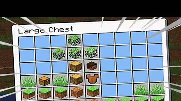 JOUER A MINECRAFT ... DANS UN COFFRE ????????? (incroyable)