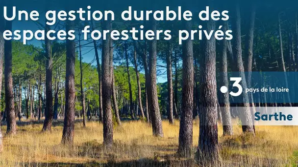Sarthe : Une gestion durable des espaces forestiers privés