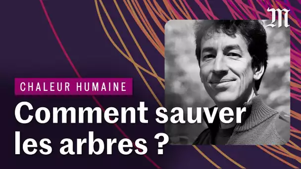 Comment sauver les forêts françaises | CHALEUR HUMAINE S.3 E.12