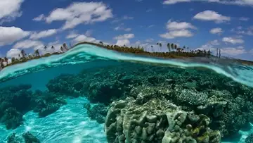 Iles Cook : la plus vaste réserve naturelle marine de la planète est en cours