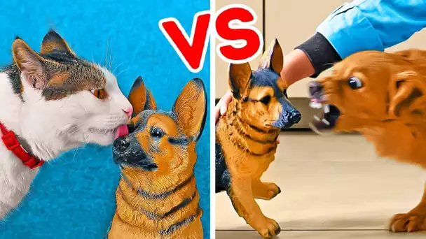 CHAT VS CHIEN || FARCES ET ASTUCES AMUSANTES POUR LES ANIMAUX