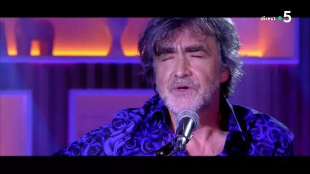 Le live : Jean-Louis Murat "Si je m'attendais" - C à Vous - 12/03/2020