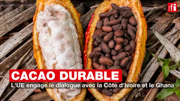 Cacao durable : l'UE engage le dialogue avec la Côte d'Ivoire et le Ghana