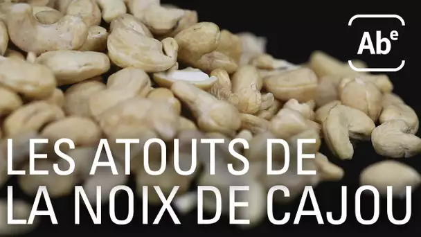 A Bon Entendeur | La noix de cajou, l’atout des régimes véganes