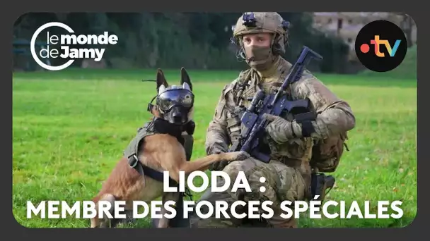 Le meilleur du monde de Jamy – Lioda, malinois et membre des forces spéciales