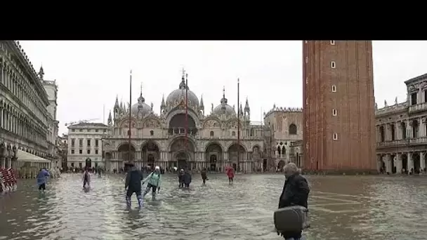 Venise sous les eaux, les touristes sortent les bottes