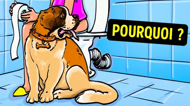 Voilà Pourquoi Ton Chien te Suit Dans la Salle de Bain