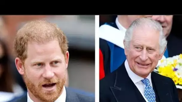 Cinq bombes tirées d'un livre royal explosif - dont la fureur du prince Harry contre Charles