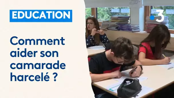 Harcèlement scolaire : que peuvent faire les élèves pour aider leurs camarades harcelés ?