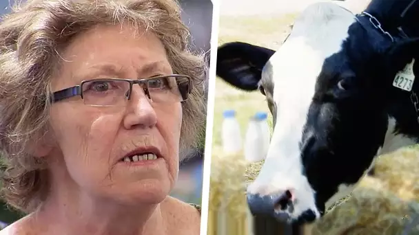 Le lait de la vache folle| Juste pour rire Gags