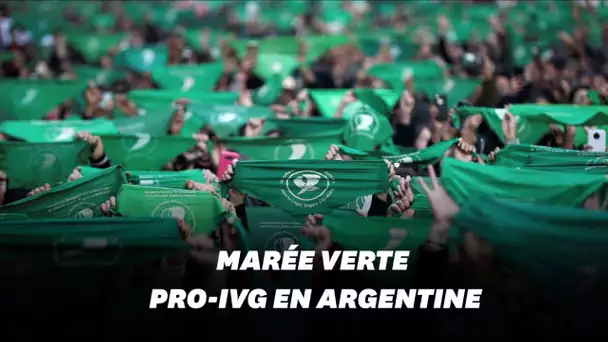 En Argentine, la "marée verte" se poursuit en faveur de l'avortement