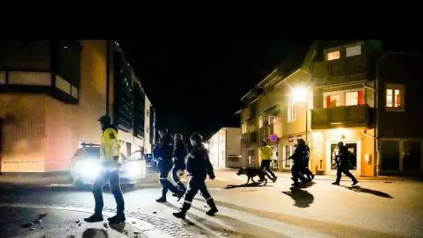 Un homme muni d'un arc et de flèches tue cinq personnes en Norvège • FRANCE 24